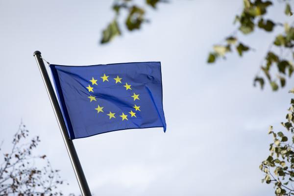 EU flag